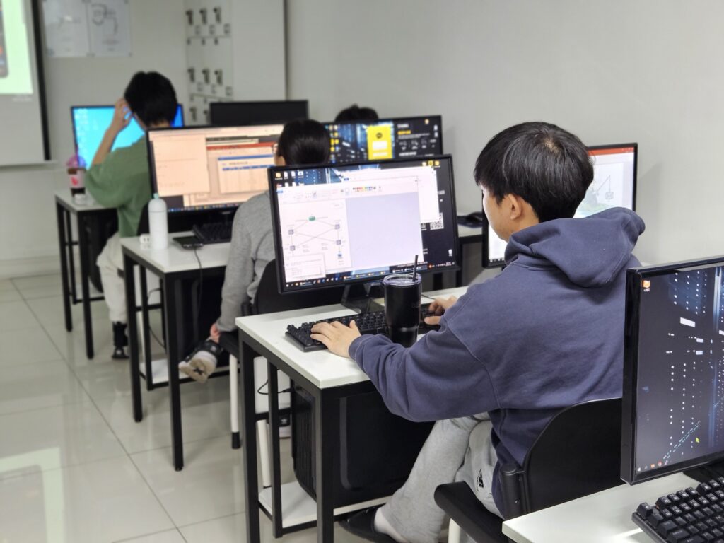 frontend developer career